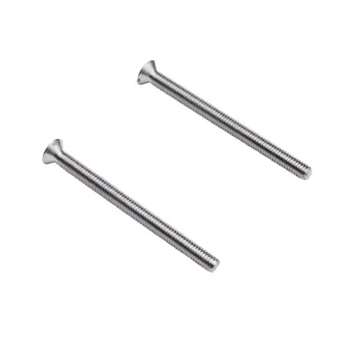 Zwei metallische Linsensenkschrauben von Hansgrohe, mit flachen Köpfen und Gewinde, auf hellem Hintergrund angeordnet.